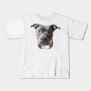 Pitbull Kids T-Shirt